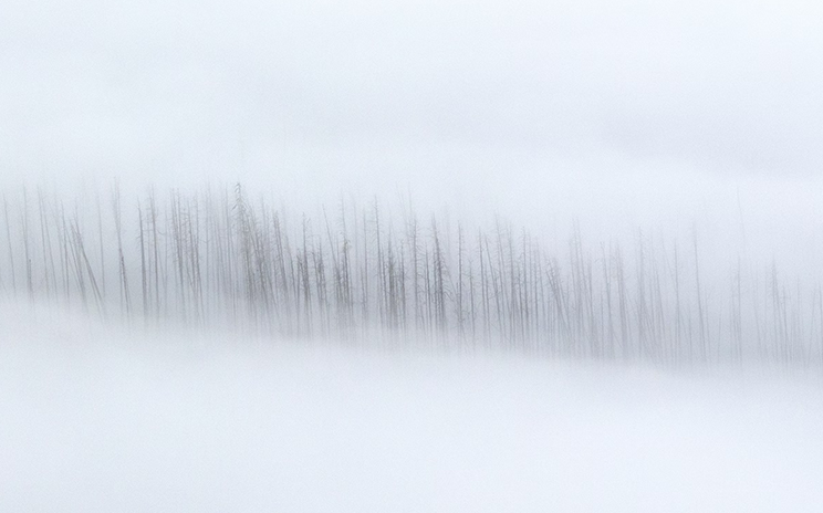 Living through a Gray Zone