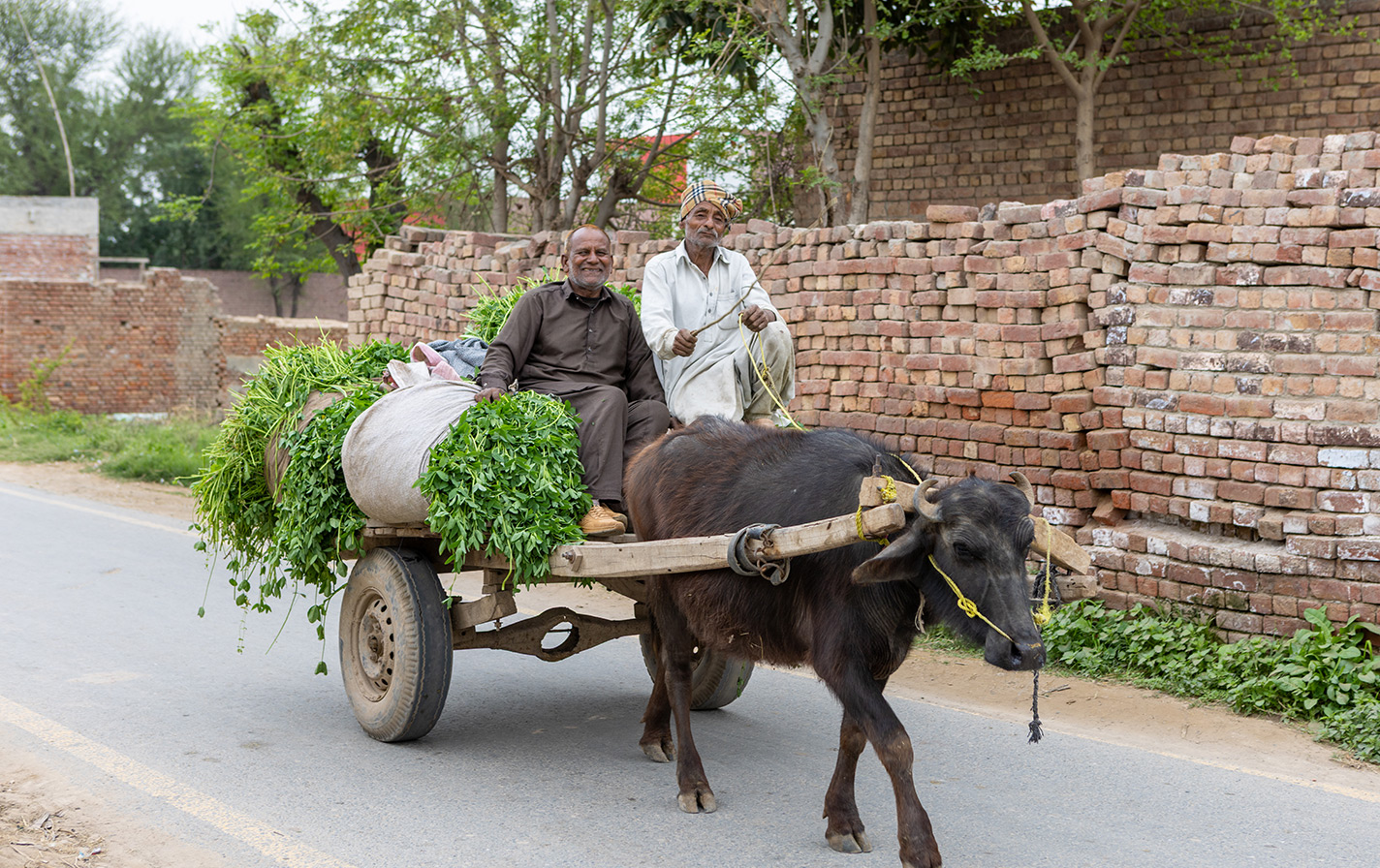 Pakistan