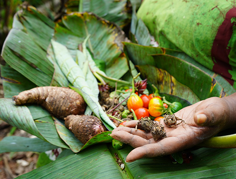 Community Farm