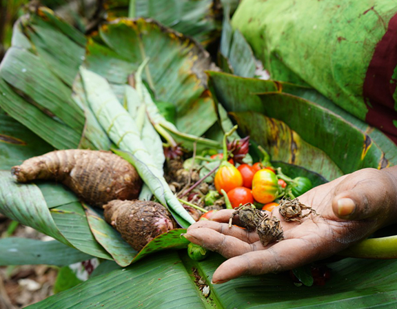 Community Farm
