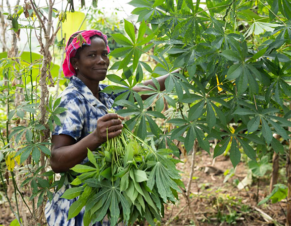 Community Farm