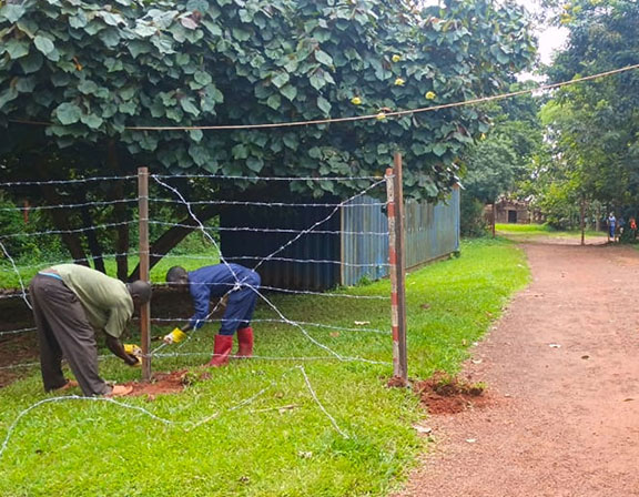 Nebo Ebola Outbreak