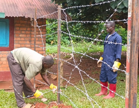 Nebo Ebola Outbreak