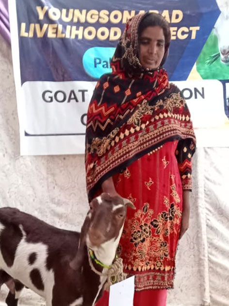 Pakistan Livestock Program